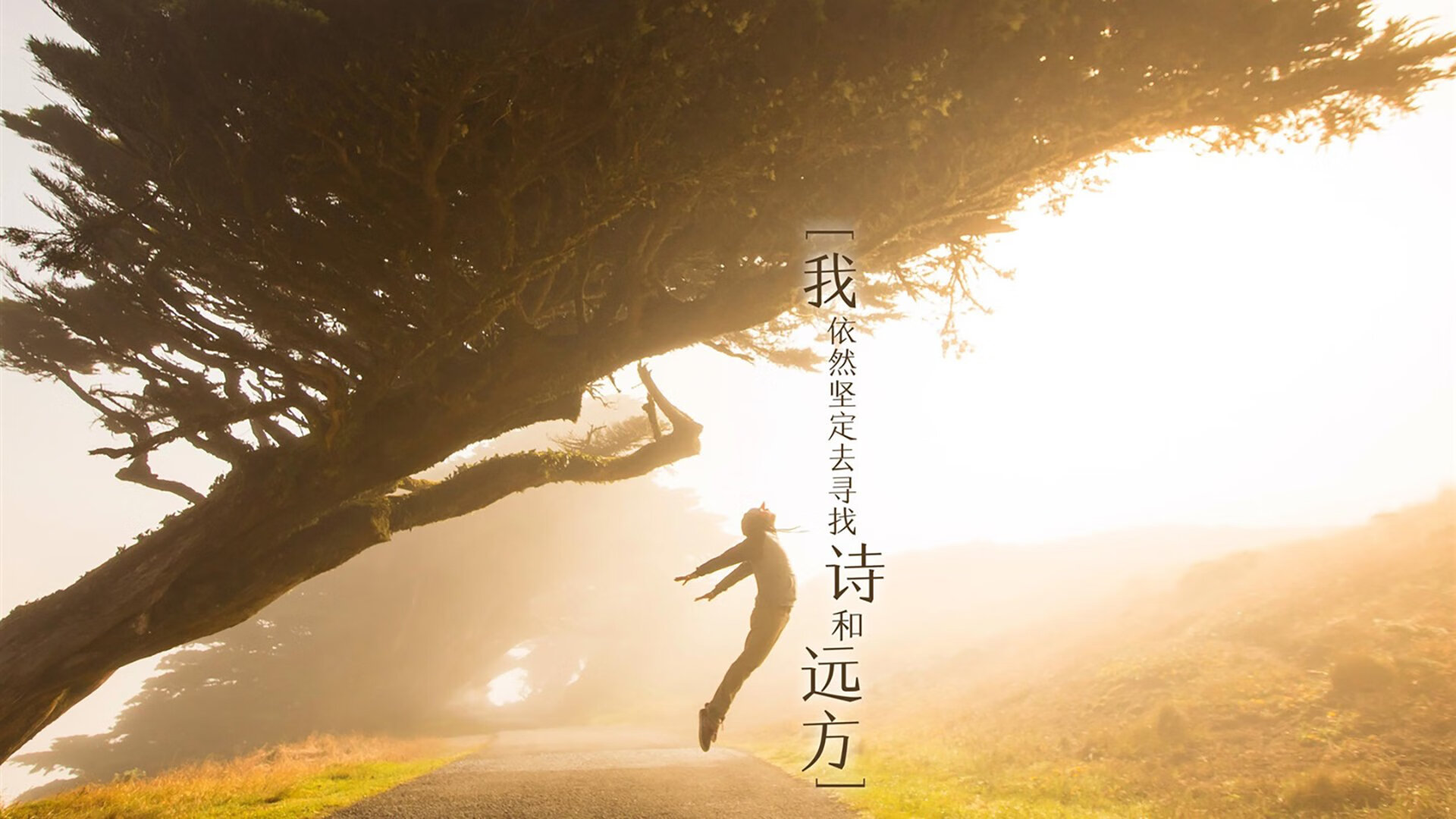 德甲在青训发展上走在欧洲前列，世界级天才不断涌现，德甲intro