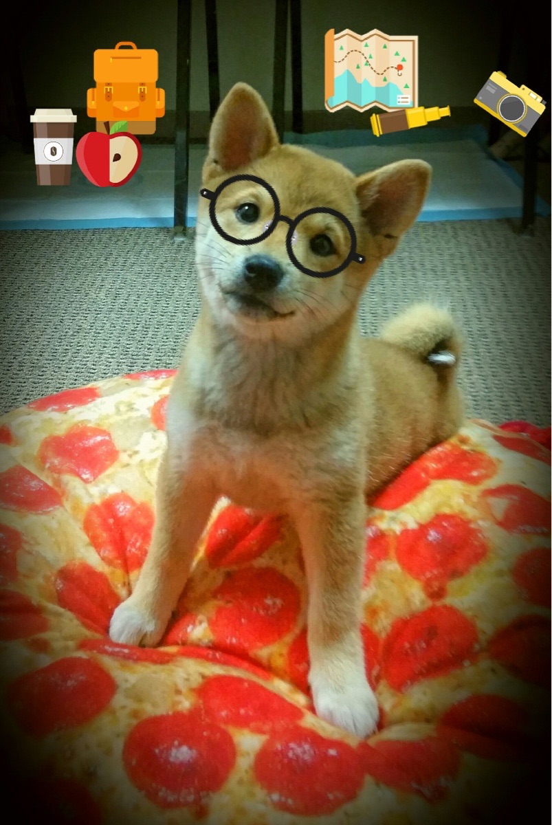 掘金首席分析师撰文《篮球中的机器学习》，获学界认可，篮球技术知乎