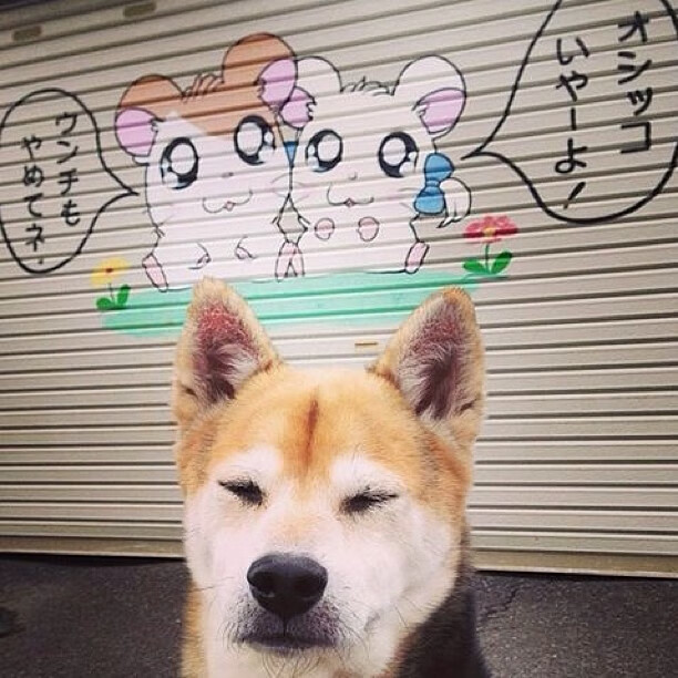 爱游戏中国官方登录入口网站-“攻防战激烈升温：谁能占据战术优势，领跑季后赛？”，攻防战视频