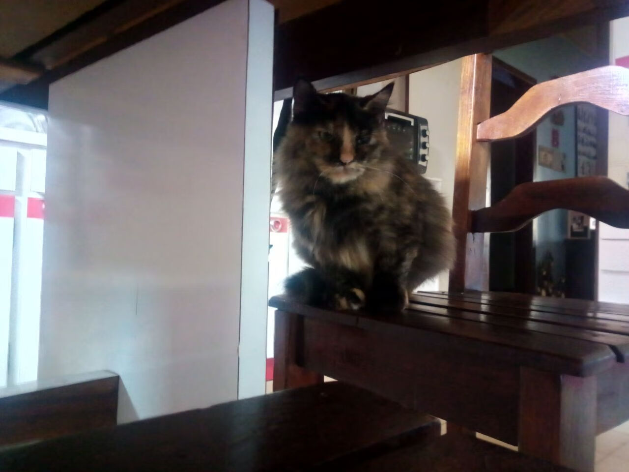 AYX GAME-库里：手起“远射”，引爆全联盟的战术革新！，库里超远投球